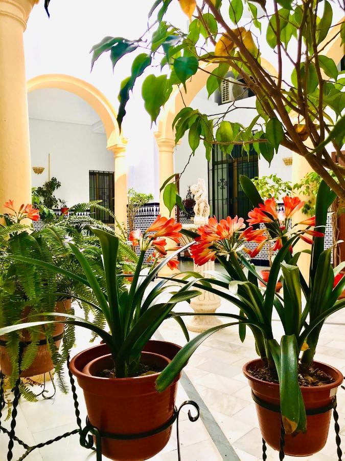 Fabuloso Loft En Centro Historico De Cordoba Con Parking Bajo Reserva Tendillas Mezquita-Catedral Экстерьер фото
